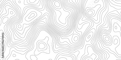 White topography topology vector white background fresh contour map texture backdrop digital print texture terrain lines and strokes on a fresh white 