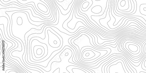 White topography topology vector white background fresh contour map texture backdrop digital print texture terrain lines and strokes on a fresh white 