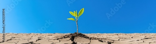 A resilient plant emerges from cracked soil under a clear blue sky, symbolizing hope and the power of nature's renewal.