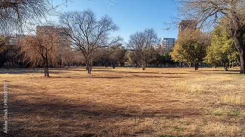 Urban park drying up under heatwave conditions, with brown grass and drooping trees, offering background space for overlay text.