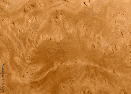 Light birdseye maple veneer texture background