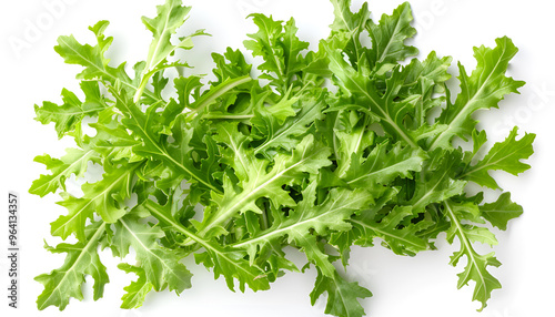 Fresh green leaves of endive frisee chicory salad isolated on white background with clipping path and full depth of field. Top view. Flat lay