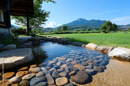 Japanese farm, quiet stream flowing through the property, clear water nourishes the fields and provides a peaceful soundtrack to farm life