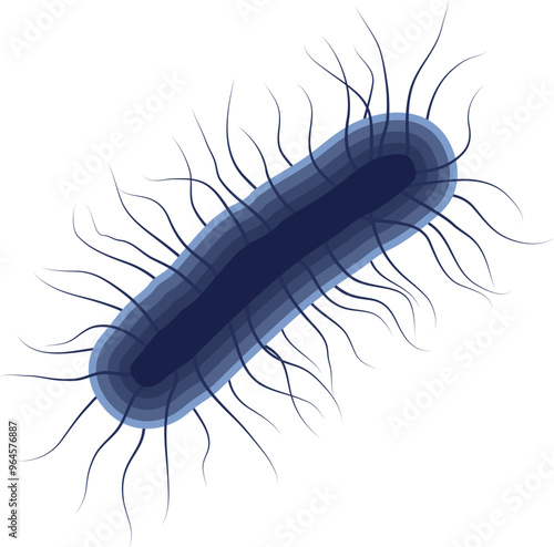 Escherichia Coli Bacteria or E. Coli Illustration Isolated on White Background