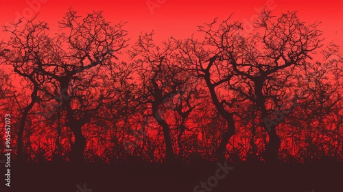 A striking image featuring the silhouette of trees against a dramatic red sky, creating a stark and intense visual scene with an abstract and dramatic appeal.