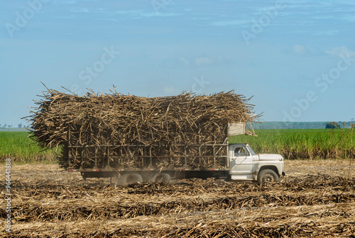 Truck loaded with sugarcane in Santa Rita, Paraíba, Brazil on October 15, 2007.