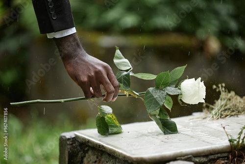 Close up on hand of Black man laying white rose on tombstone on grave in memory of deceased relative at graveyard, copy space