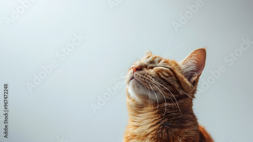 Cheerful ginger cat enjoying a quiet moment with its eyes closed in a serene indoor setting. Generative by AI