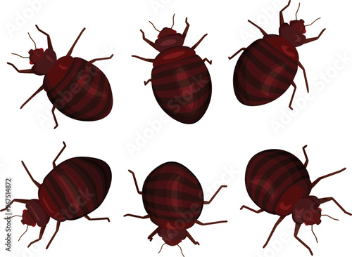 Set of enlarged bed bugs. A group of parasitic insects on white background.