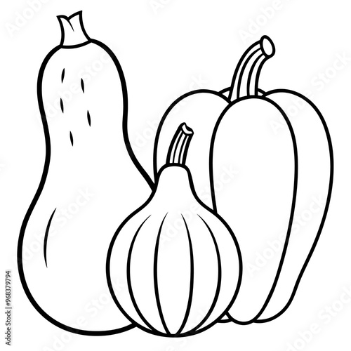 parsnips butternut squash acorn squash vegetables outline coloring book page line art illustration digital drawing