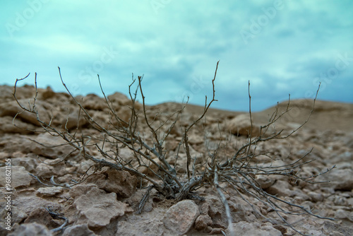 Here is a real waterless rocky desert in which Jesus suffered for 40 days. Near East