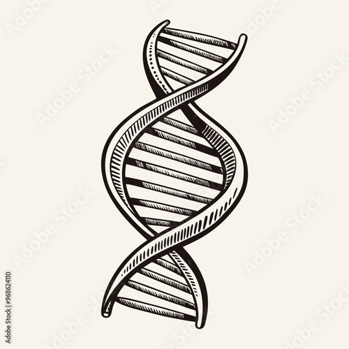 Detailed Hand Drawn DNA Helix Illustration in Vintage Style