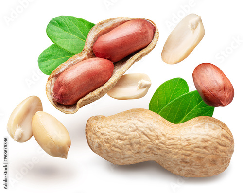 Peanuts and peanut leaves falling down on white background. File contains clipping paths.