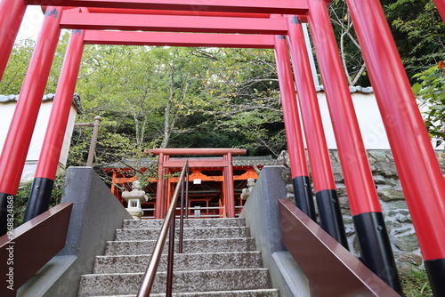 A Japanese temple : a scene of the precincts of Kimii-dera Temple in Walayama City in Wakayama Prefecture