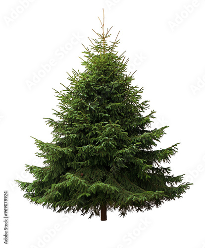 Christmas green tree isolated on transparent background