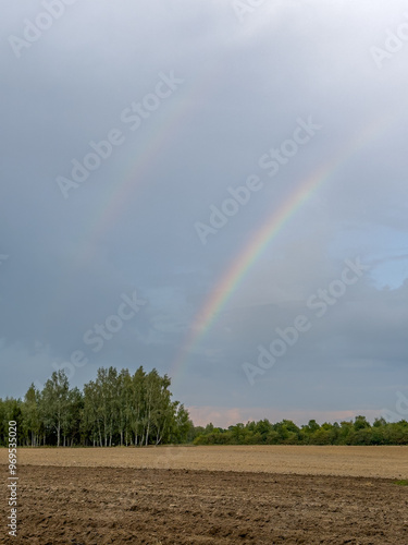 tęcza nad pustym zaoranym polem