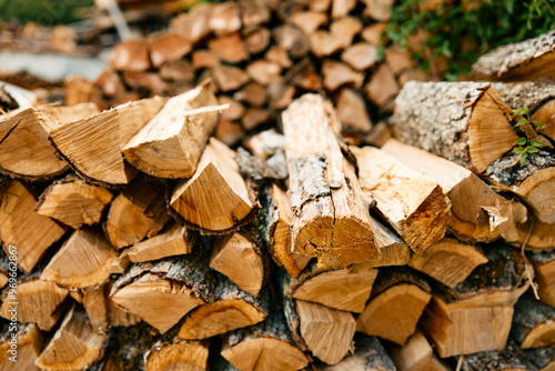 rustic woodpile and logs in natural setting with green bush in background