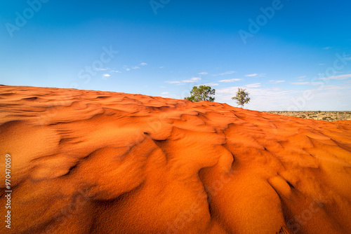 Red sand dunes and desert vegetation in central Australia