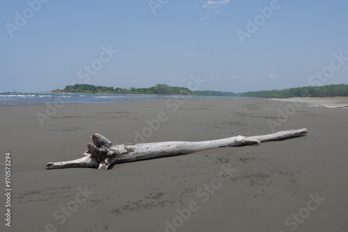 Ausgeblichener Stamm am breiten Strand bei Quepos in Costa Rica