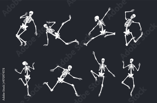 Set of skeletons vector dancing with different positions. Realistic collection of dancing Halloween party or Day of the dead skeletons. Template design creepy, scary human bones characters silhouettes