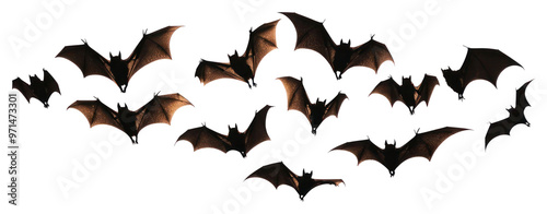 PNG Flying bats group silhouettes background white.