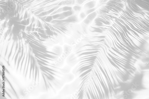 PNG Palm leaves shadow on water background abstract texture.