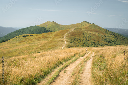 Bieszczady. Na Połoninie Wetlińskiej, widok na Osadzki Wierch, Smerek i przełęcz Orłowicza