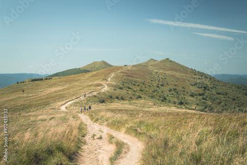 Bieszczady. Na Połoninie Wetlińskiej, widok na Osadzki Wierch, Smerek i przełęcz Orłowicza