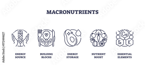 Macronutrients as essential elements for body outline icons collection set, transparent background. Labeled elements with food energy source, building blocks.