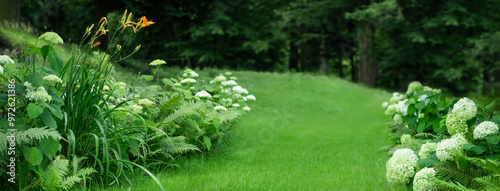 piękny naturalny ogród z trawnikiem, paprociami i hortensjami, leśny ogród, forest garden