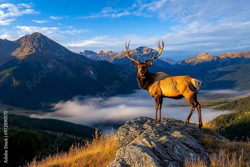 A majestic elk standing on a ridge, framed by towering mountains as the early morning mist rises around him