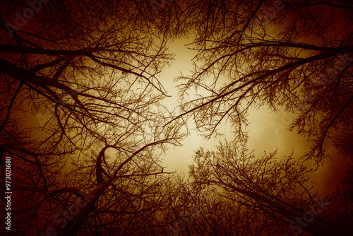 Dark silhouette of leafless branches against dark red gray, sunless sky evokes sense of melancholy and depression. Overcast weather can lead to downturn in mood and other depressed mental states