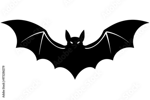 bat and bats