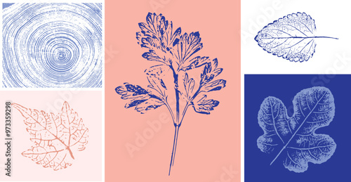 Decorative leaf sketch and wood block prints. Monotone pink and blue botanical tree rings and leaves impression print.