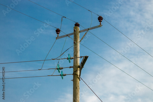 Wood telegraph pole with electricity power distribution lines and insulators