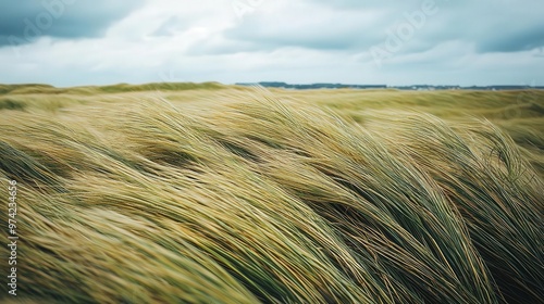 A serene landscape of flowing grass under a cloudy sky, showcasing the beauty of nature's tranquility and movement.