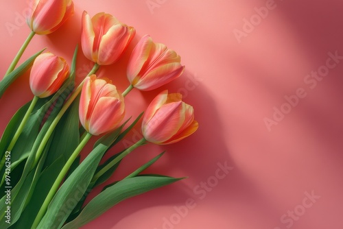 New tulip display on pink background. Floral card layout featuring space for note. Charming minimalist spring creation. Commemorating international women's day. Paying tribute to mother's day