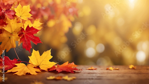 Web Banner Design for Autumn Season and