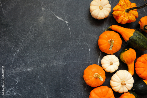 Autumn side border of pumpkins and gourds. Top view on a dark stone background with copy space.