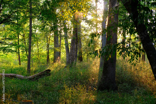 Scenes Along the Greeway Walking Trail in Forsyth County