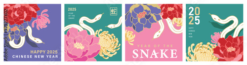 Set of 2025 Chinese new year, year of the snake template design with white snakes and beautiful flowers background. Chinese translation: Snake