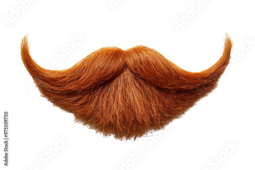 Fake curly ginger handlebar mustache and beard isolated on white background