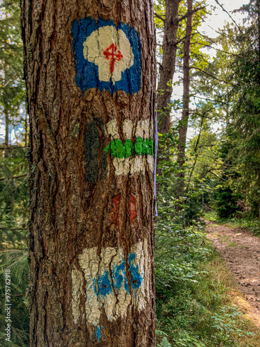 Oznaczenia szlaku, Beskid Sądecki