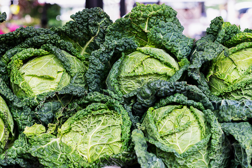 Heads of fresh savoy cabbage at the market, green leafy vegetables.