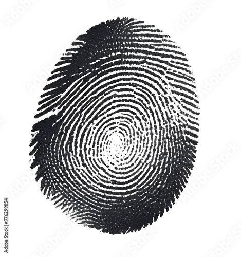 Close-up of a black and white fingerprint pattern, showcasing unique loops and ridges on a plain white background. 