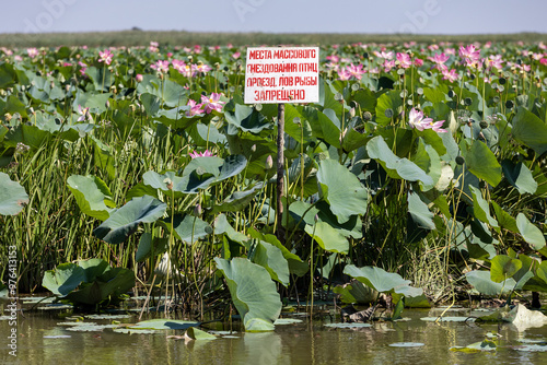 Russia. Astrakhan. A forbidding inscription in the lotus valley in the Volga Delta.