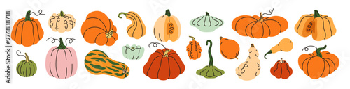 Pumpkins collection. Autumn vegetable, fall gourd, various type, shape, size, color. Seasonal fruit, Halloween and Thanksgiving decoration. Flat vector illustration isolated on white background