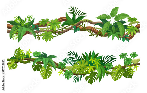 Tropical liana vines and ivy branches with monstera and jungle plant leaves, cartoon vector. Tropical rainforest creeping liana or bindweed tree with climbing branches and hedera tendrils for frame