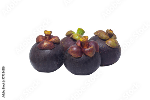 Garcinia mangostana