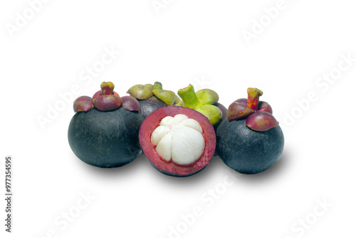 the purple mangosteen